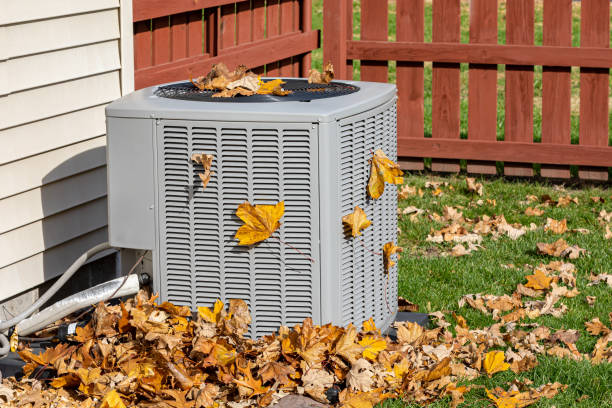 Best HVAC tune-up services  in Gages Lake, IL